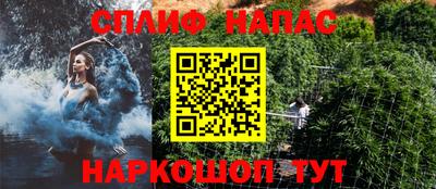 mdpv Заводоуковск